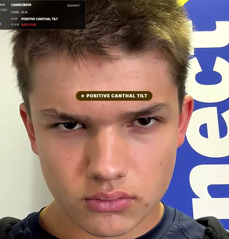 Captura de pantalla 2026-05-14 003655.png